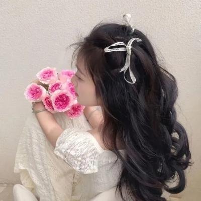 沙滩鼠