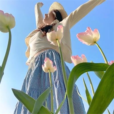 笨蛋·测验·召唤兽 续篇